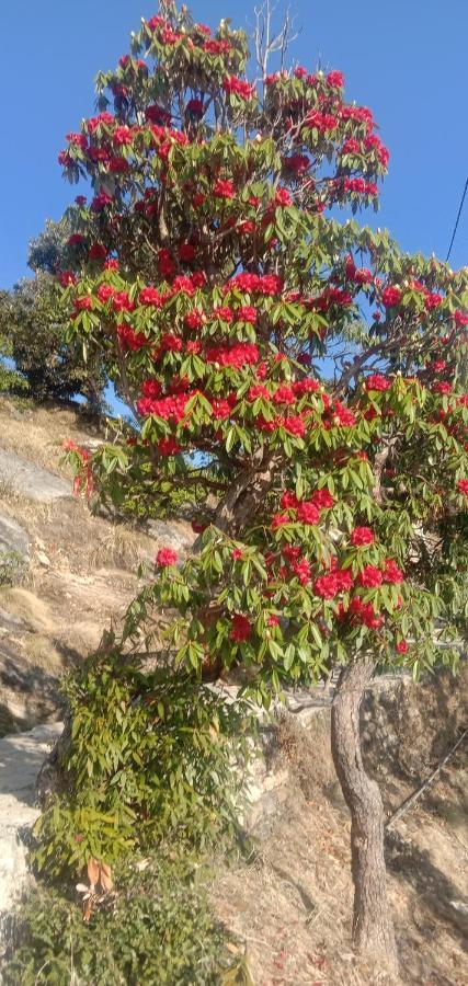 Chandarshila Hike Homestay Ukhimath 외부 사진