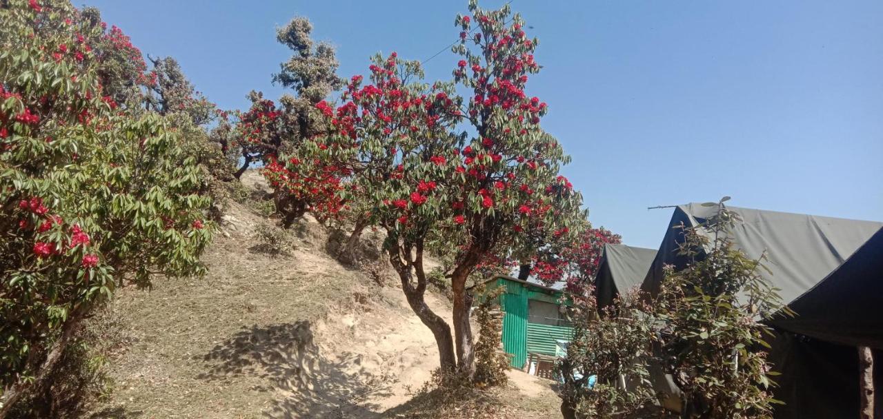 Chandarshila Hike Homestay Ukhimath 외부 사진